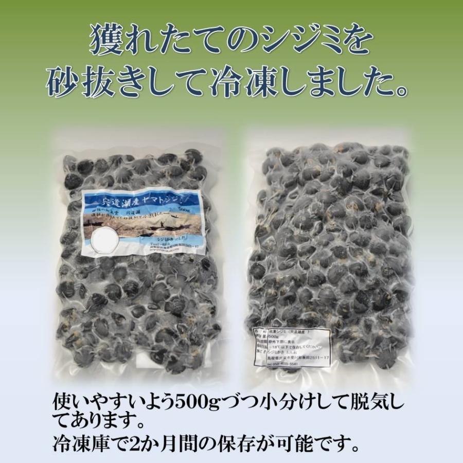 シジミ 宍道湖産 Mサイズ ３ｋｇ 送料無料 冷凍 砂抜き済み