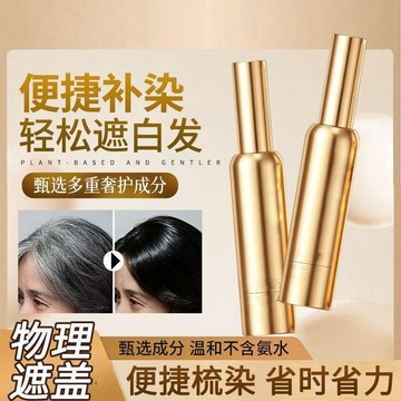 🛒臺灣24h🌳PAZT補色筆一梳彩植物補色美髮筆快速遮白髮神器