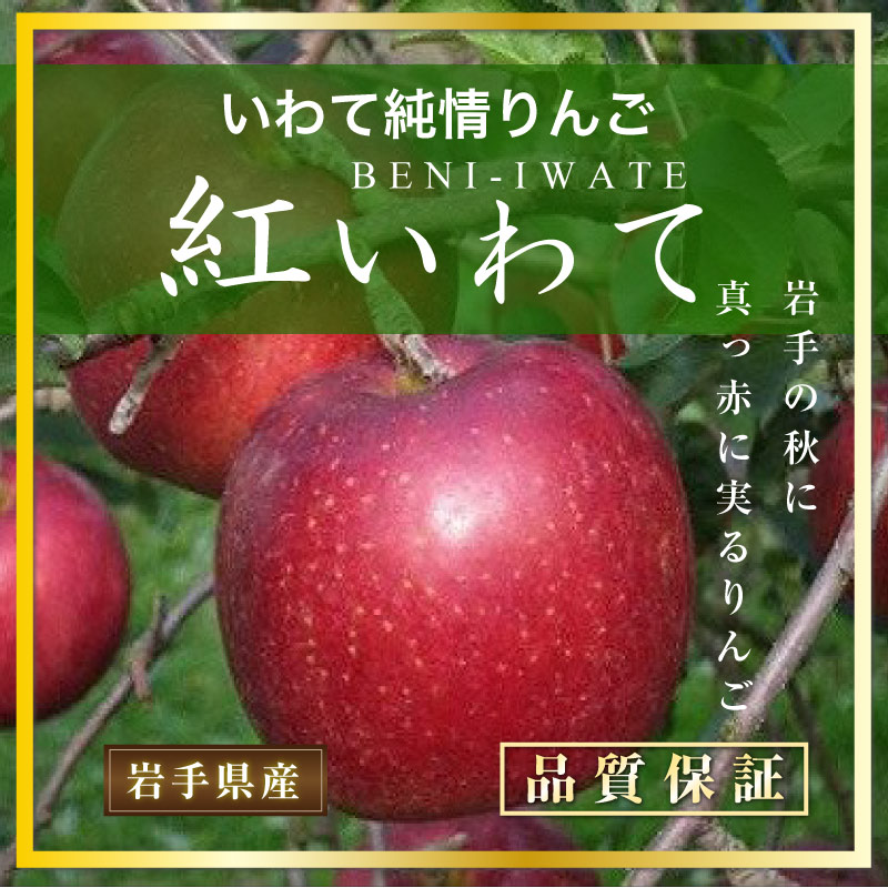 [最短順次発送]   紅いわて りんご 約 2kg 5-7玉 大玉 岩手県 化粧箱 秋ギフト リンゴ  甘い 早生 早生りんご 赤りんご 果物箱