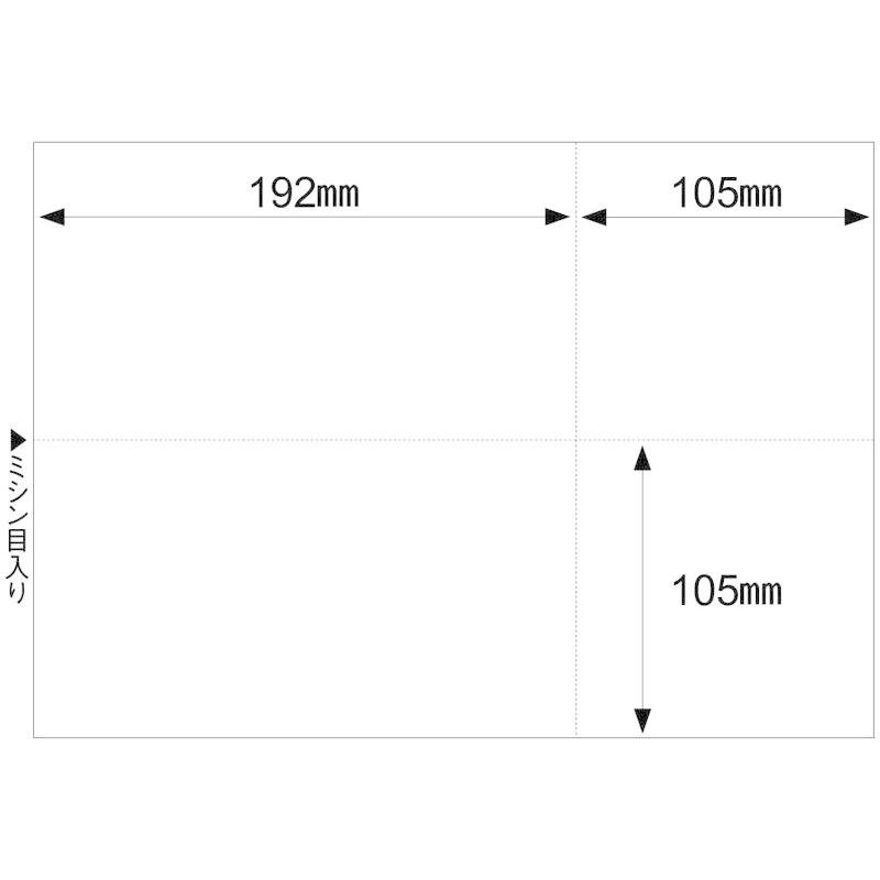 ヒサゴ 帳票 マルチプリンタ A4 白紙 EIAJ対応 100枚 BP2066