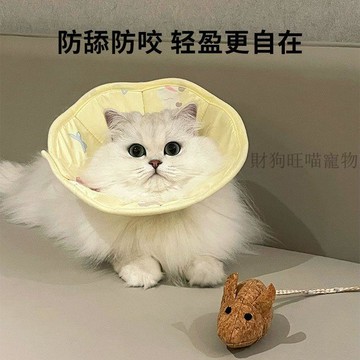 💕在臺出貨🔥伊麗莎白軟脖套防舔防咬貓咪專用貓項圈可調節脖套防脫護頸貓用品