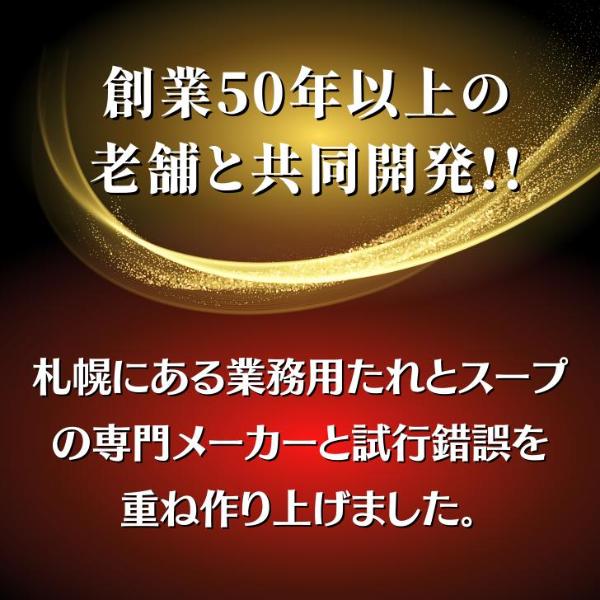 北海道産 甘えび 出汁 使用 濃厚 スープカレー 10袋セット レトルト 甘えび 海老 えび カレー Mashike Soup Curry お得セット