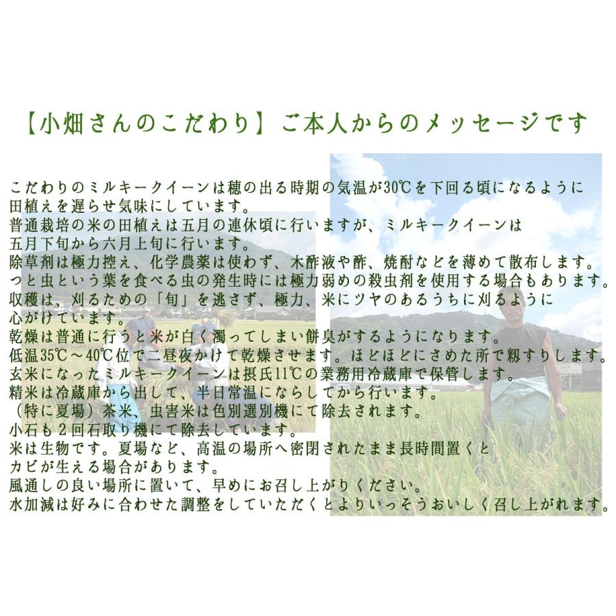 ミルキークイーン  小畑さんのミルキークイーン 精米 (白米) 5kg 「北海道・沖縄は 1100円」 お米