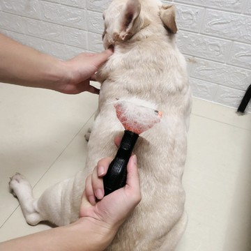 法斗柯基專用小型犬中型犬刷梳狗毛狗狗梳子泰迪英斗柴犬去毛神器