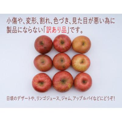 ふるさと納税 山形県 令和5年産「サンふじ」ご家庭用(訳あり) 約10kg箱入