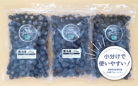 冷凍有機ブルーベリー 1.2kg（400g×3袋）