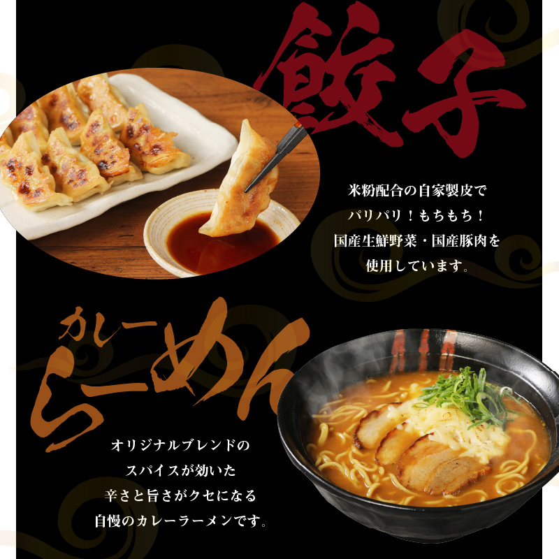 お家で簡単 藤一番 カレーらーめん・餃子セット[037D02]