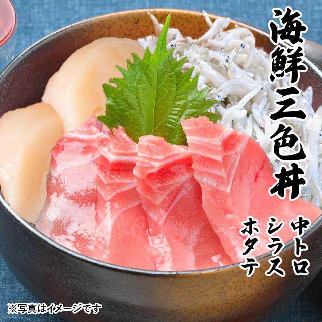 海鮮三色丼 中トロ しらす ホタテ 海鮮 丼 セット 3〜4人前 グルメ お祝い   2023 プレゼント ギフト 刺身