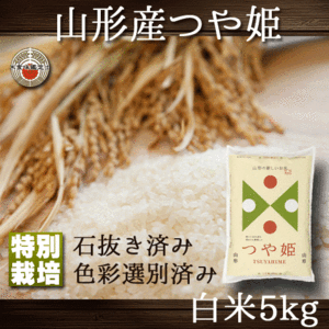 つや姫 山形県産 白米 5kg 特別栽培 送料無料