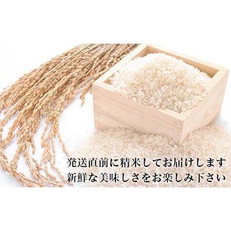 ふるさと納税 令和5年産＜定期便＞ヨシ腐葉土米 精米20kg（5kg×4回発送）コシヒカリ 宮城県石巻市