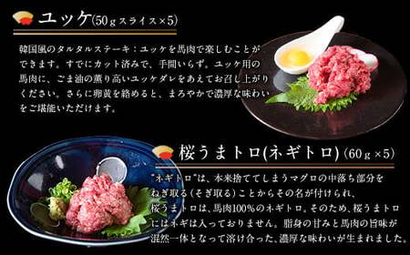 厳選プレミアムスライス馬刺しセット 1kg 馬肉 冷凍 《60日以内に順次出荷(土日祝を除く)》 新鮮 さばきたて 真空パック 生食用 肉 熊本県球磨郡山江村 スライス 特産品 SEN