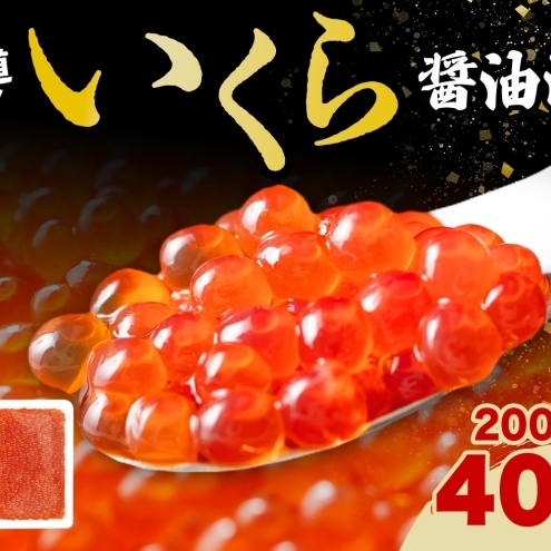 北海道産 いくら醤油漬け 200g 2パック 計400g 北海道 イクラ醤油漬け 小分け いくら 国産 イクラ 海鮮 魚介 魚卵 海産物 醤油漬け 鮭いくら 新鮮 寿司 刺身 お取り寄せ グルメ ご褒