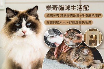 【台中】樂奇貓咪生活館 #GOMAJI吃喝玩樂券#電子票券#新店首賣