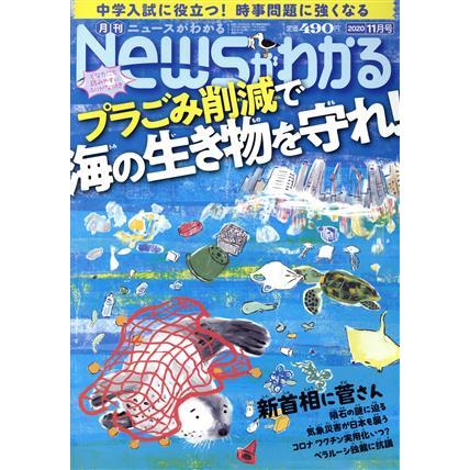 Ｎｅｗｓがわかる(２０２０年１１月号) 月刊誌／毎日新聞出版