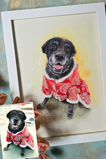 寵愛畫語【精緻水彩手繪寵物畫】A4尺寸附框  似顏繪