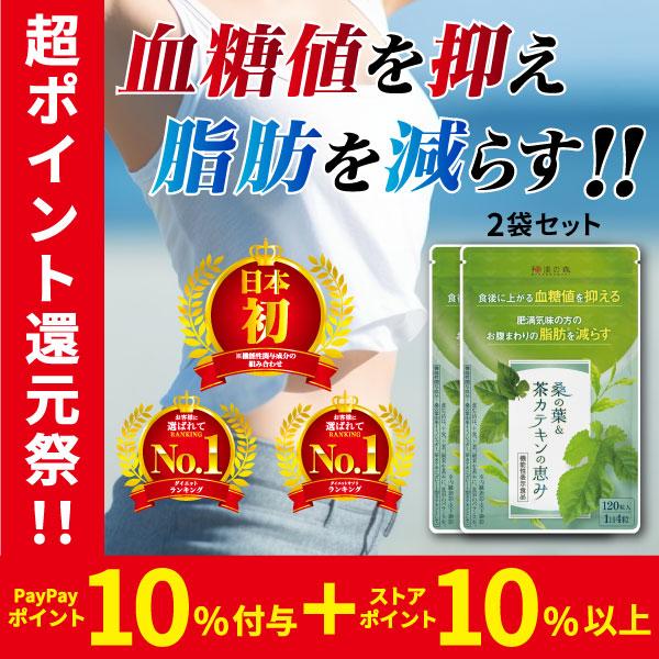 ダイエット サプリ 皮下脂肪 内臓脂肪 お腹の脂肪 サプリメント 燃焼