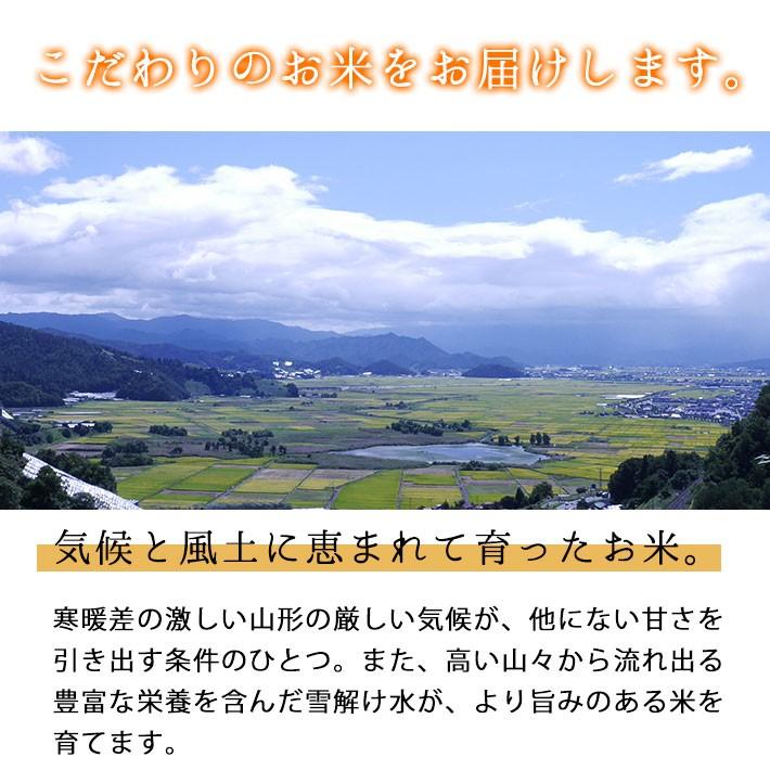 米 お米 2kg 2023年度 令和5年度産 山形 黒澤ファーム 夢ごこち