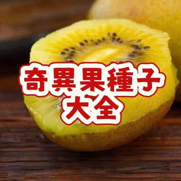 次日達-（奇異果種大全） 當季新籽 發芽率高 產量高 營養豐富  陽台庭院盆栽 耐寒耐旱 新手易養活#超優惠