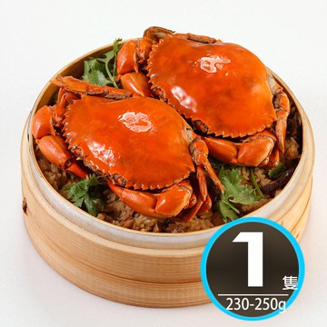 【華得水產】熟凍爆蛋特大紅蟳 8隻(230-250g±10%)(預計3/30陸續出貨)