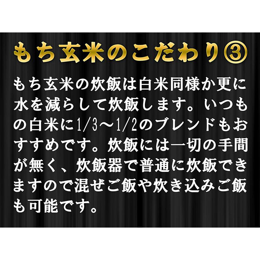 玄米 10kg もち玄米 無洗米 送料無料 2kg×5 国内産 米 10キロ