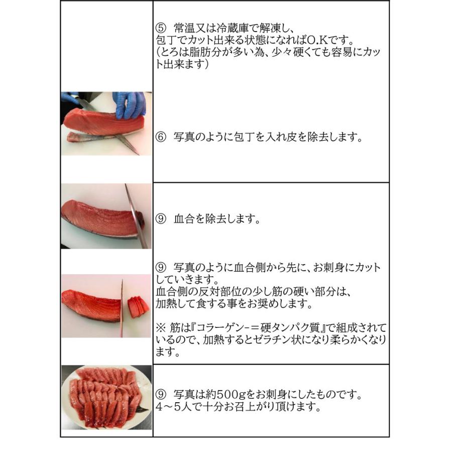 送料無料　約500g(5人前)　冷凍・本まぐろ（中とろ）　マグロ専門卸会社直送