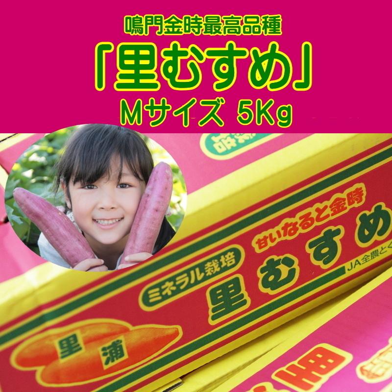 鳴門金時「里むすめ」Ｍサイズ／５Kg さつまいも