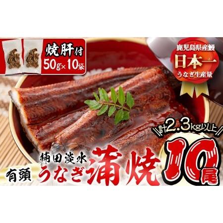 ふるさと納税 楠田の極うなぎ蒲焼き 230g以上×10尾(計2.3kg以上) 焼肝10袋付き wa24-004 鹿児島県志布志市