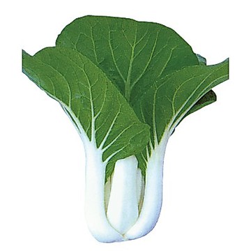 【拈花微笑】松成黑白菜｜種子｜4g｜非基因改造種子｜蔬菜｜蔬果｜有機無毒｜高發芽率