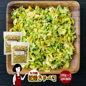 乾燥キャベツ100g×2(計200g)〔チャック付〕／九州産 乾燥野菜 きゃべつ メール便 送料無料 チャック付 九州産 国産 ボイル済み ドライベ