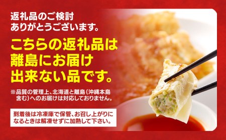 　餃子20個入り