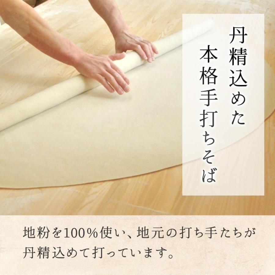 そば 半生そば （6人前） そばつゆ付 メール便 送料無料 長野県 飯綱町産 地粉100% 信州蕎麦 麺類 信州そば ギフト ソバ 麺類 半生蕎麦