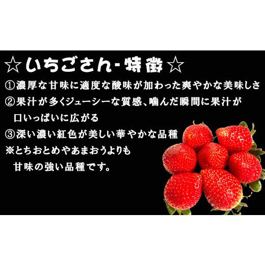 ふるさと納税 佐賀県 唐津市 『予約受付』唐津産 いちごさん 250g×2パック(合計500g) 濃厚いちご 苺 イチゴ 果物 フルーツ