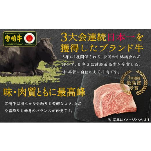 ふるさと納税 宮崎県 新富町 ＜すき焼き・しゃぶしゃぶ＞宮崎牛ウデスライス＆宮崎県産豚ロースセット（各500g）※2024年2月より順次出荷