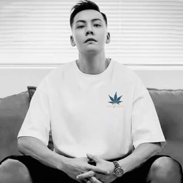 楓葉港風ins男女細節休閑短袖