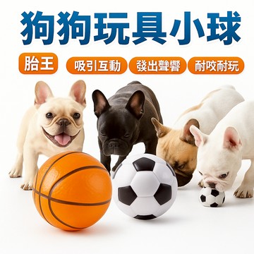 [胎王] 狗狗玩具小球 狗玩具 你丟我撿球 聲音球 寵物互動玩具