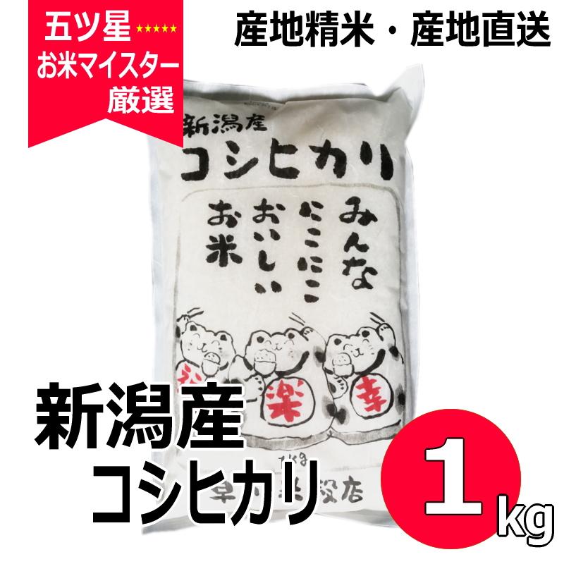 コシヒカリ 1kg 新潟県産コシヒカリ 令和５年産 新米