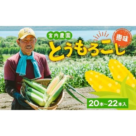 ふるさと納税 北海道産 とうもろこし 恵味 めぐみ 2L 20〜22本 朝採り トウモロコシ 玉蜀黍 コーン とうきび 大きめ スイートコーン 甘い 旬 .. 北海道洞爺湖町