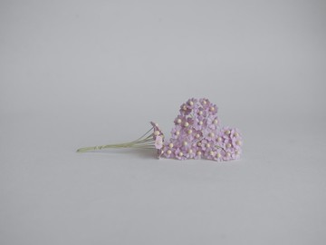 紙花，用品，100 朵加拿大海葵，尺寸 1.0 公分。純紫色