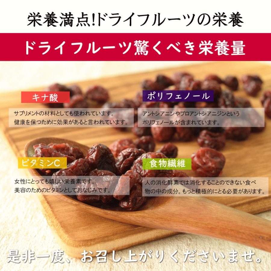 ドライフルーツ ドライクランベリー 1kg(500g×2) アメリカ産 無添加 おつまみ ギフト