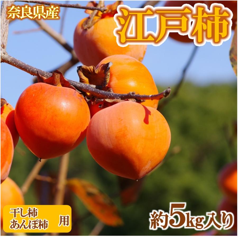 柿 かき 江戸柿 奈良県産 約5kg あんぽ柿 干柿用