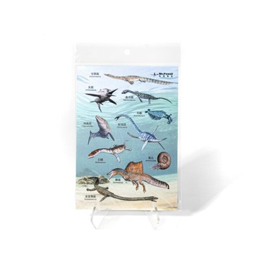 古生物計畫轉印貼-海洋篇