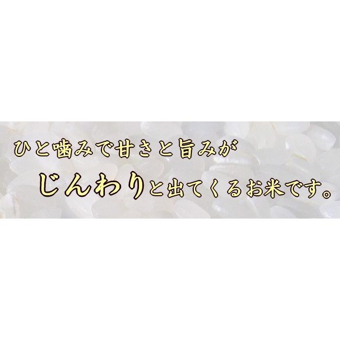 新潟産 ミルキークイーン 5キロ 白米 特別栽培米（農薬・化学肥料5割減） 疎植栽培 令和元年産