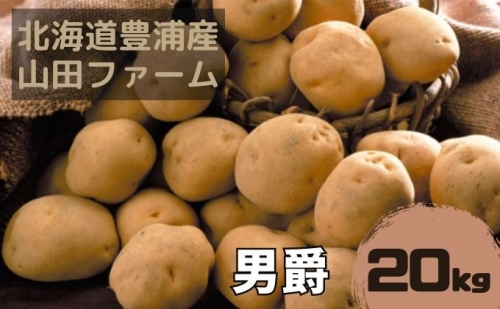 北海道 豊浦産 じゃがいも 男爵 20kg M-Lサイズ 農園直送 産直 ポテト 芋 イモ
