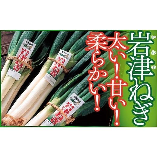 ふるさと納税 兵庫県 朝来市 朝来市特産3kg（箱入り）年内配送 年内発送 岩津ねぎ 岩津ネギ 新鮮 国産 甘い 太い 柔らかい 香り豊か 幻…