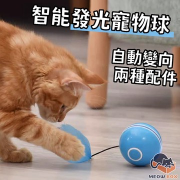 MEOWBOX. 智能發光寵物球 台北出貨 可裝羽毛/鈴鐺 自動變向 電動貓玩具 逗貓球 電動球 貓咪玩具 逗貓 玩具球
