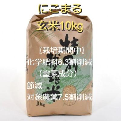 ふるさと納税 諫早市  特別栽培米・九州のこだわり米「にこまる」玄米10kg