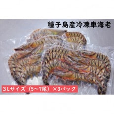 種子島産　加熱用冷凍車海老3Lサイズ(5～7尾) 750g