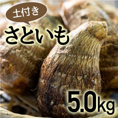 ふるさと納税 四万十町 四万十町産「土付きさといも」5kg