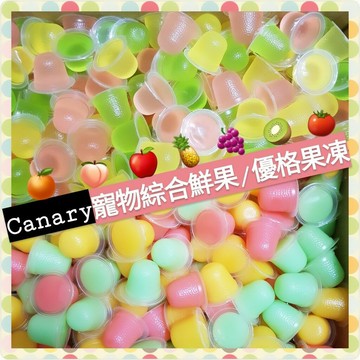 【鼠勾乙】Canary 寵物專用果凍 寵物零食點心?? 蜜袋鼯 刺蝟?? 倉鼠?? 兔子?? 獨角仙鍬形蟲甲蟲