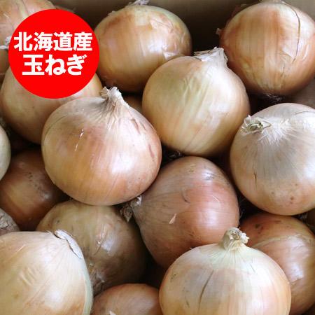 北海道 玉ねぎ 5kg 送料無料 北海道産 たまねぎ 5kg Mサイズ 共撰 野菜 玉ねぎ   タマネギ   玉葱